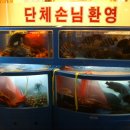 일신 수산 이미지