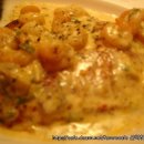 로얄피시 이미지