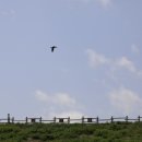 국화저수지 이미지