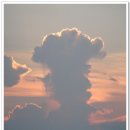 이방초등학교 이미지