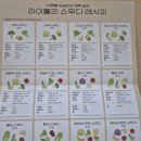 핑크브로콜리 | 닥터라이블리 라이블리스무디 후기