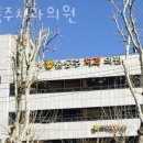 서초구 양재동 치과 윤동주치과의원 진료시간 접근성 이용후기