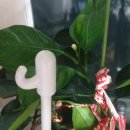 일남농장 이미지