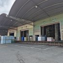세종로지스