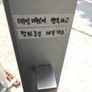 다행다복