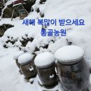 시골이야기 이미지