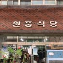 원풍식당 | [충남/태안] 태안 원풍식당 낙지탕 내돈내산 후기