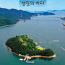 바다, 생명을 담다 이미지