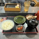 [일본 교토 ] 시조역 근처 돈카츠 현지 맛집 카츠다 시조 카라마스마점 후기 (구글 평점 4.7)