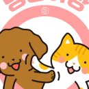 텐소프트 이미지