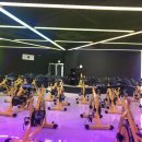 수원-0732 이미지