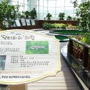 회산백련지 이미지