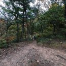 주내주유소 Daum카페