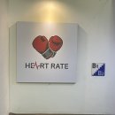 하트레이트 강남 이미지