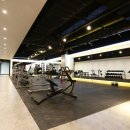 헬스 존 이미지