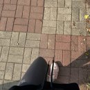 포스트푸드 | 나우푸드코리아 포스트바이오틱스로 시작하는 콜레스테롤 관리 후기