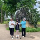 태국골프 그린월드 소식지 이미지