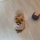 일구야