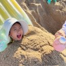 평강목장 이미지