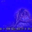 신상구제