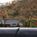 산과강 티스토리