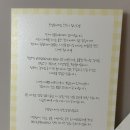 디저트스윗베리 | 연남동 컵낭시에 디저트 맛집 “스꾸니“ 베리벨벳•약과맛 후기