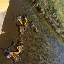 하천(대전천1) 이미지