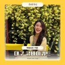 중남부 수도사업소 | 대구 꽃구경 목향장미 카페 큐바이쿼트 내돈내산 후기 꿀팁 5월가볼만한 곳