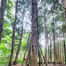 소산전자 이미지