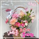 보볼리플라워