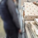 맥스펫 | 펫쇼 2026 후기/ 아발론 투고맥스 강아지 유모차