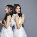 마이주주 이미지