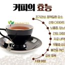 엔잭타커피