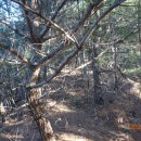 대성사 앞 이미지