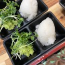 수경손만두 - 논산시 중앙로384번길 41-2 | 수경손만두