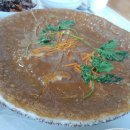 꿀참나무 이미지