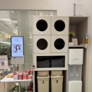 신우엔그룹 | 오창헬스장·오창필라테스 함께 이용 가능한 레이크핏 체험 후기