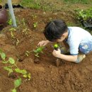 환이네농장 이미지