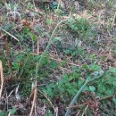 구천농장 이미지