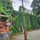 무주읍104 이미지