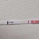 화남1차 | 5일배양 배아 4일차 임테기 두줄 / 착상 증상 / 206 원포 역전 시기 / 1차 2차 피검 수치