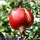 어야어야 이미지