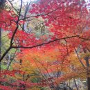 산사랑 이미지
