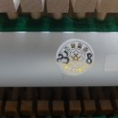 청주대성초등학교 이미지