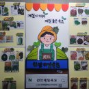 제일육묘장 이미지