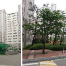 서둔동 30-9 이미지