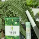 위즈코퍼레이션 이미지