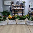 이든테라피 이미지