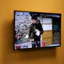 호텔데님(Hotel Denim) 이미지