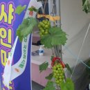 법인썬팜